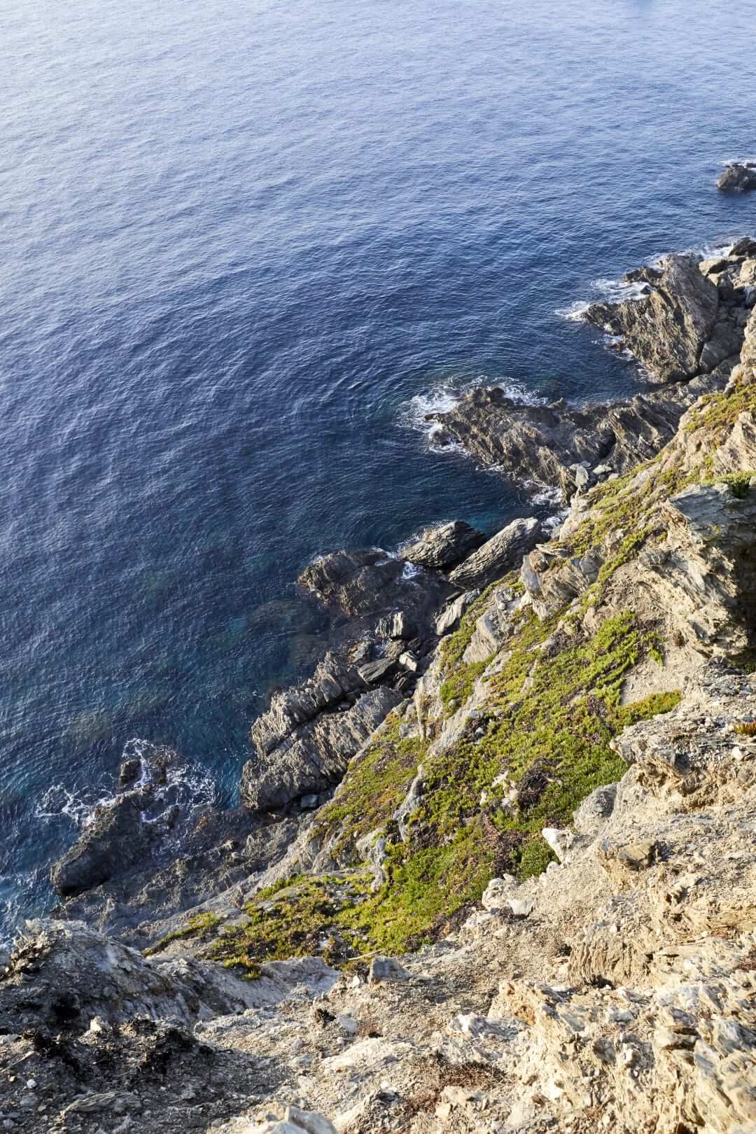 Domaine de l'Ile - Porquerolles - Côtes de Provence