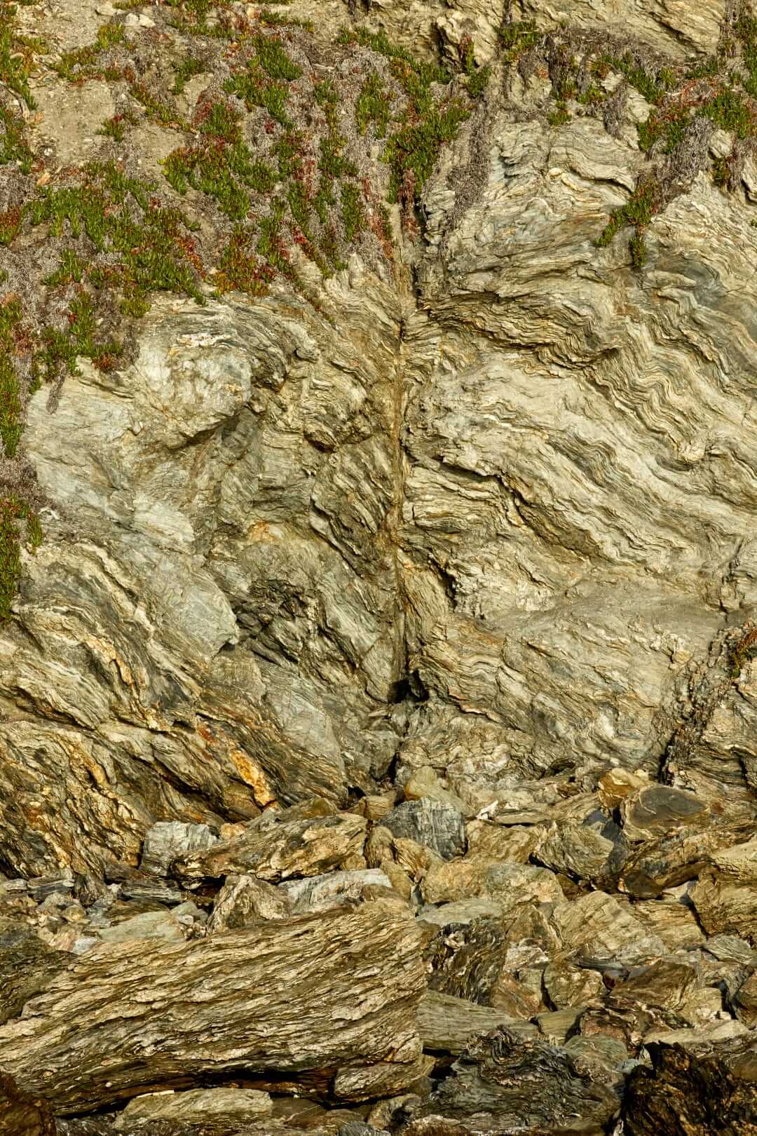 Schistes de l’île de Porquerolles