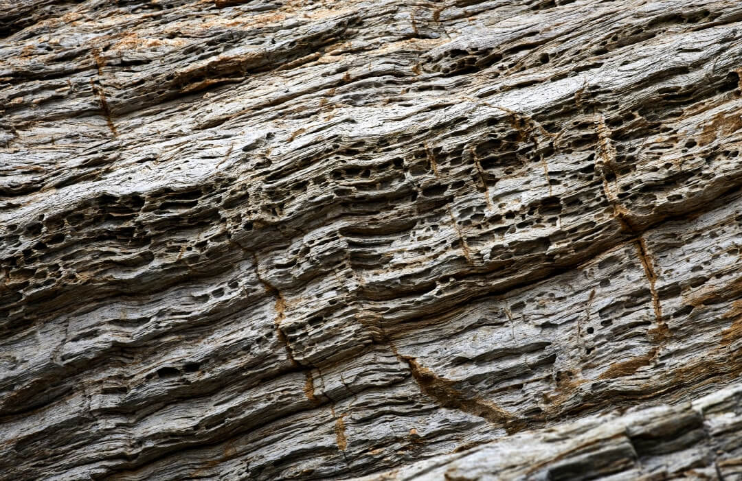 Domaine de l'Ile - Porquerolles - Côtes de Provence