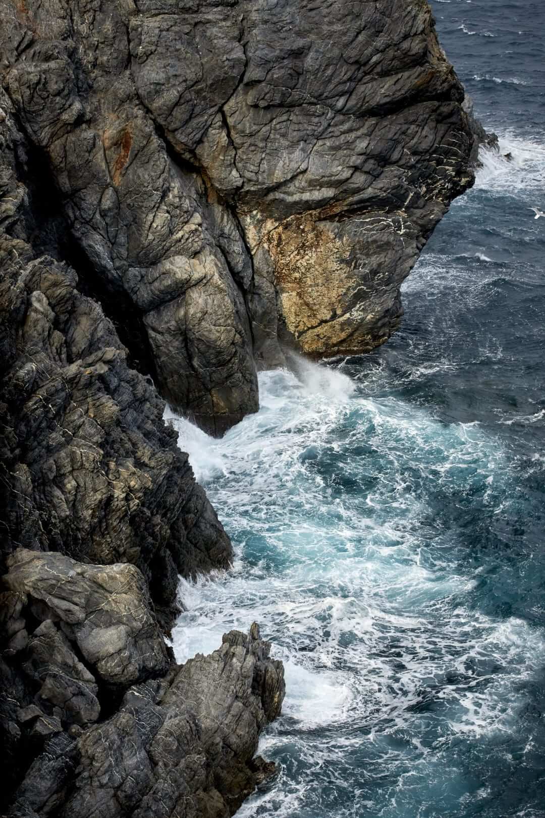 Domaine de l'Ile - Porquerolles - Côtes de Provence