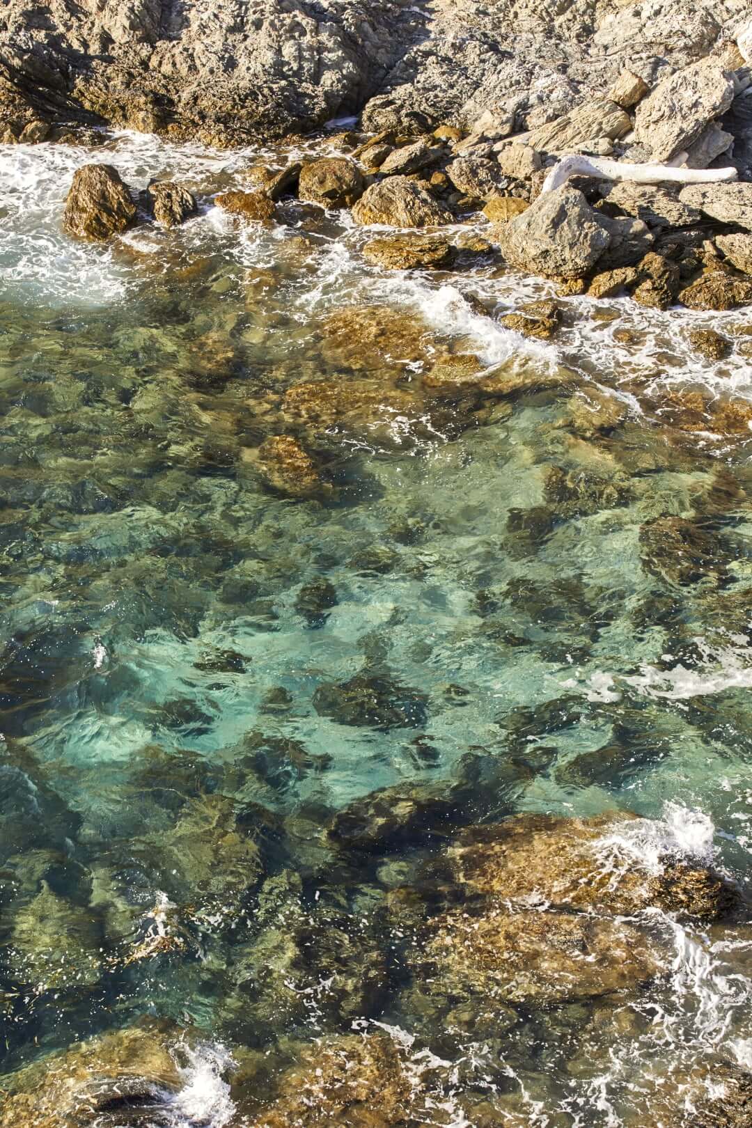 Domaine de l'Ile - Porquerolles - Côtes de Provence