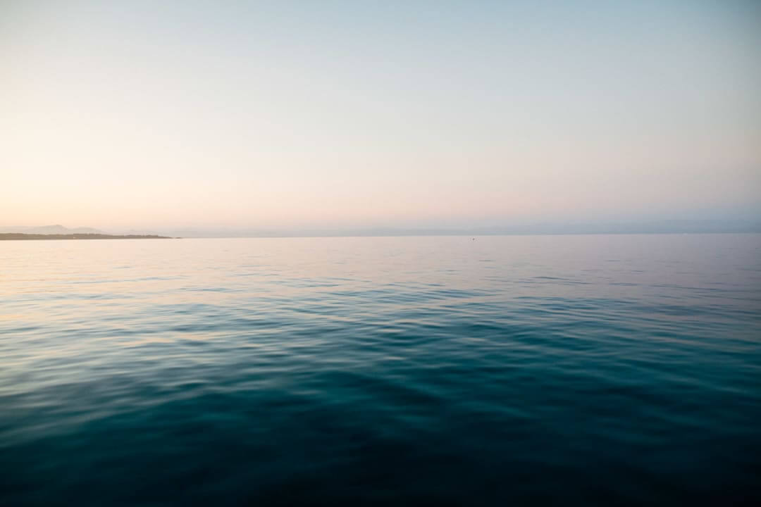 Domaine de l'Ile - Porquerolles - Côtes de Provence
