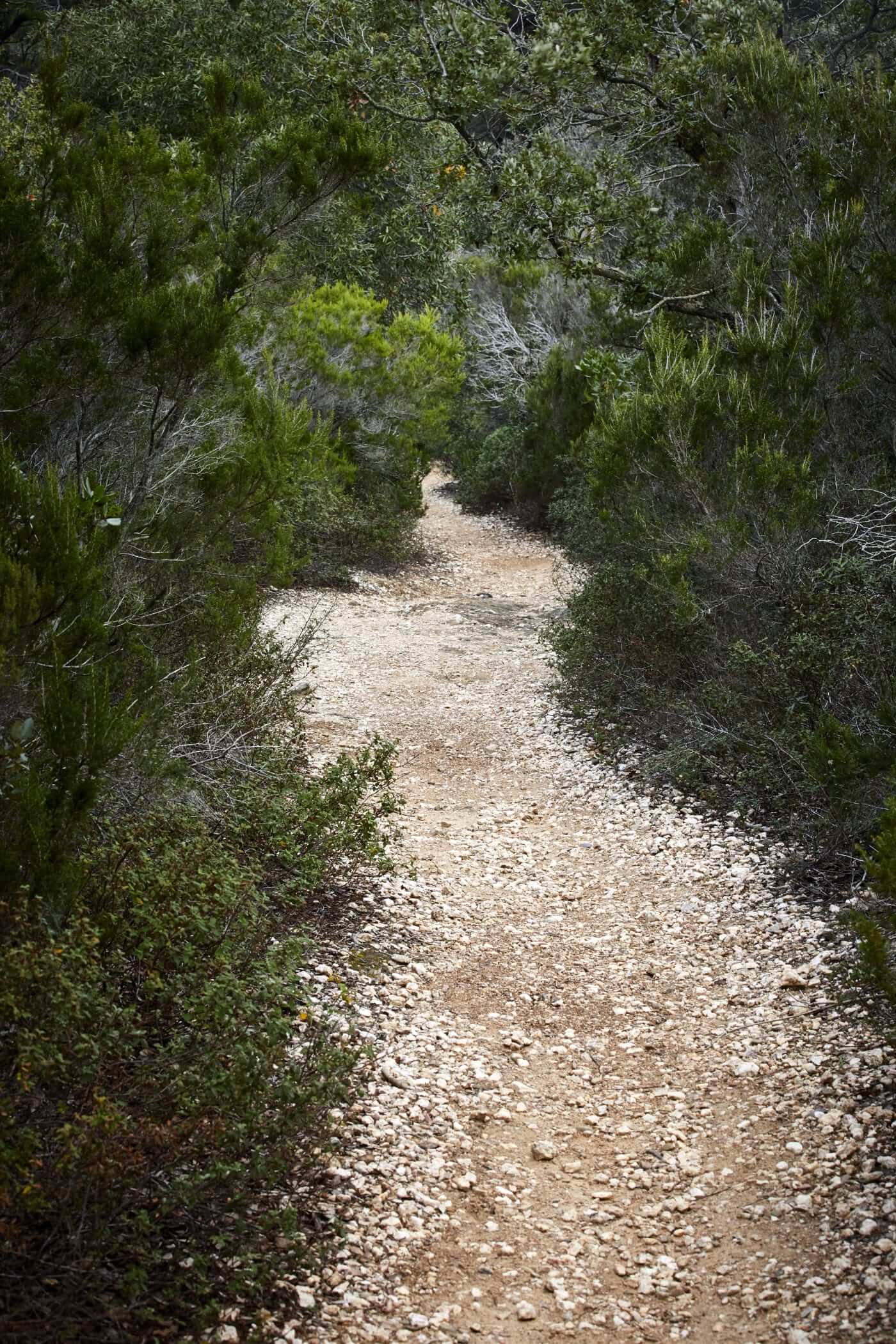 Sentier au cœur de la végétation de l’île de Porquerolles