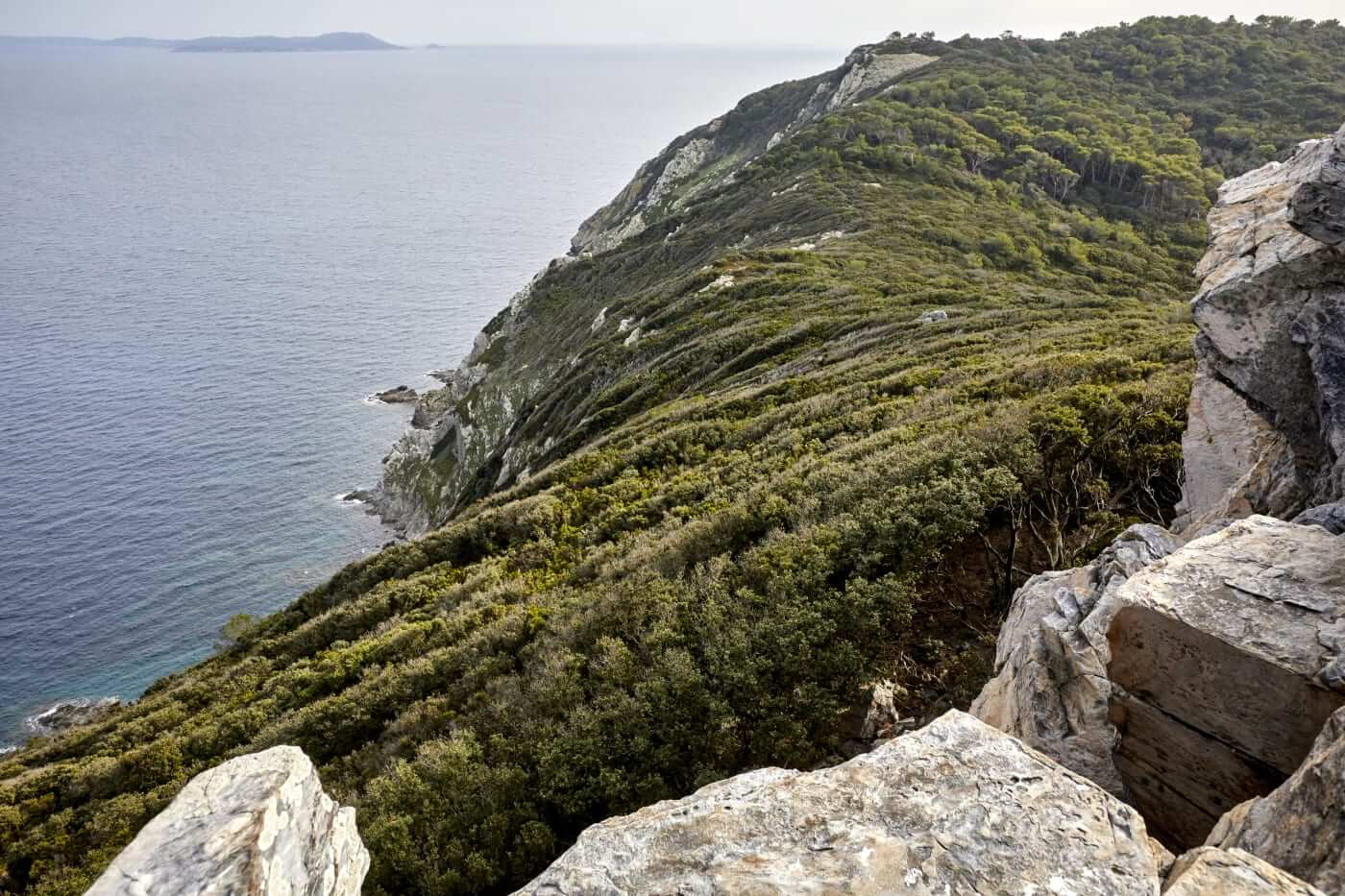 Vue panoramique de Porquerolles