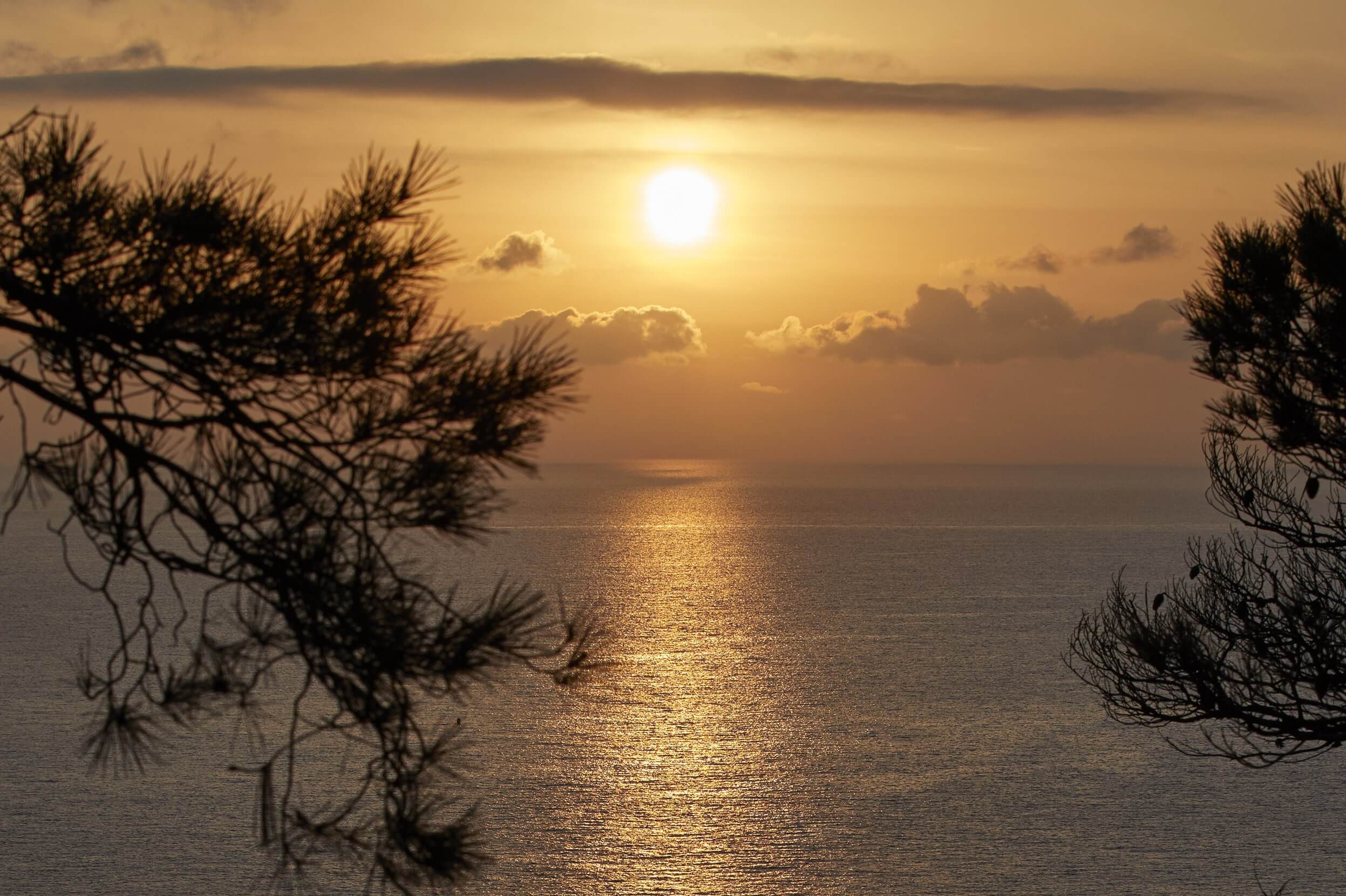 Domaine de l'Ile - Porquerolles - Côtes de Provence