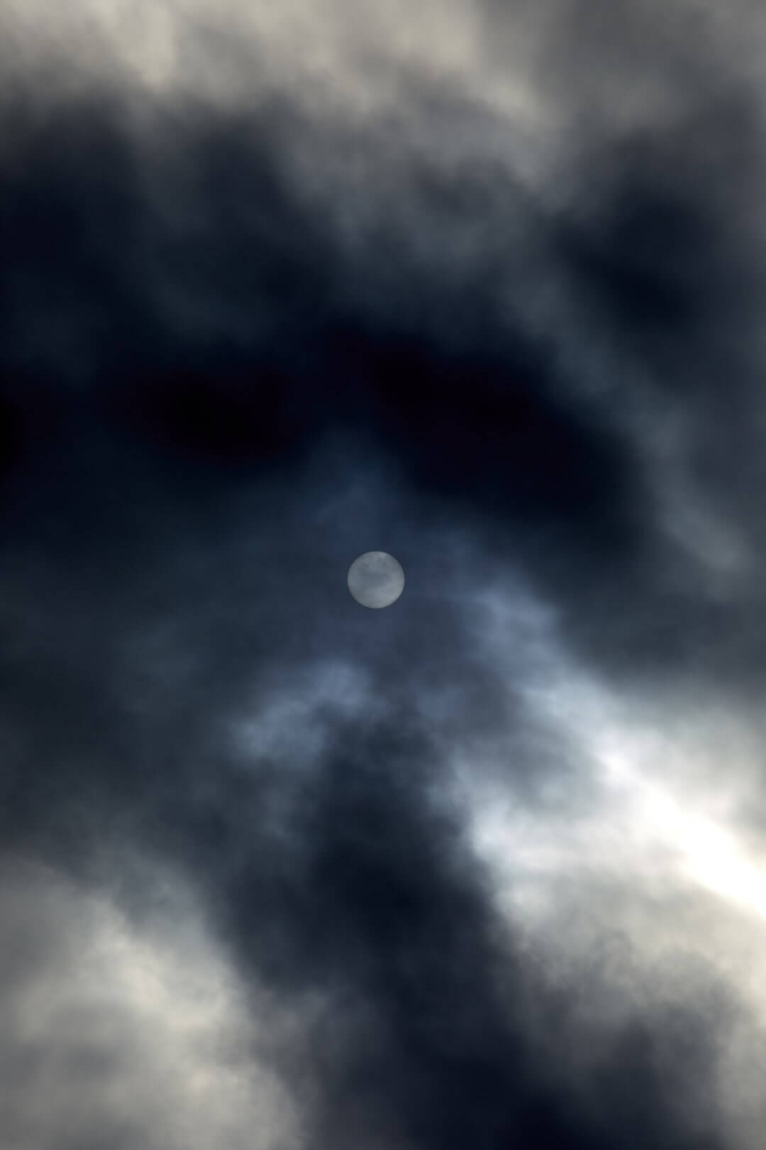Domaine de l'Ile - Porquerolles - Côtes de Provence