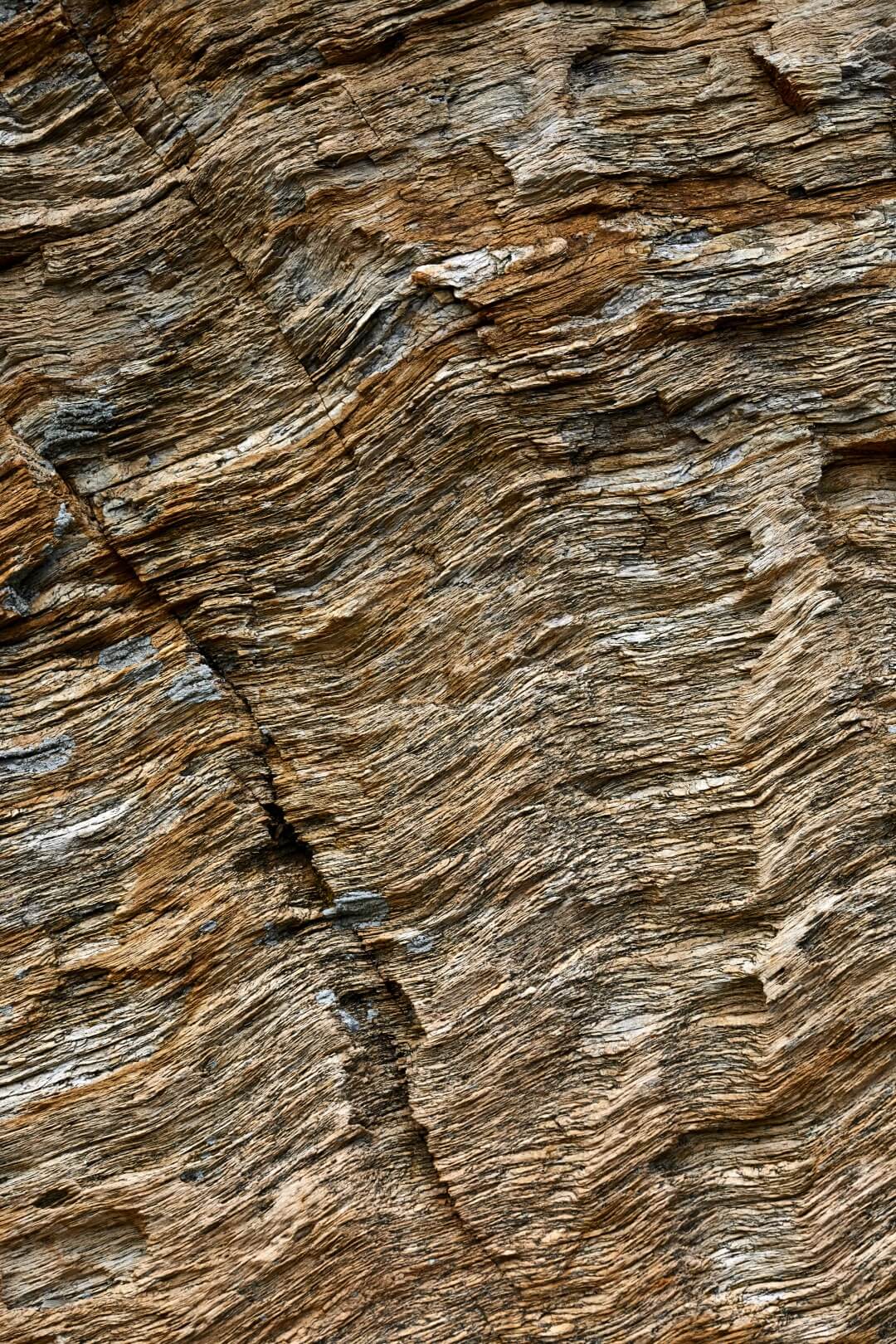 Domaine de l'Ile - Porquerolles - Côtes de Provence