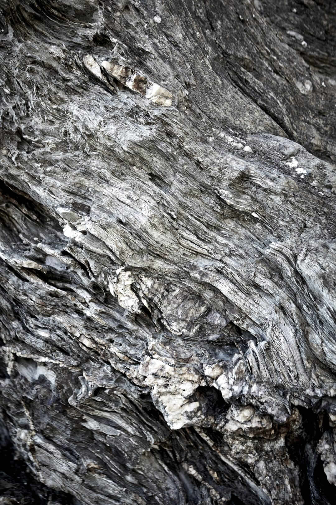 Domaine de l'Ile - Porquerolles - Côtes de Provence