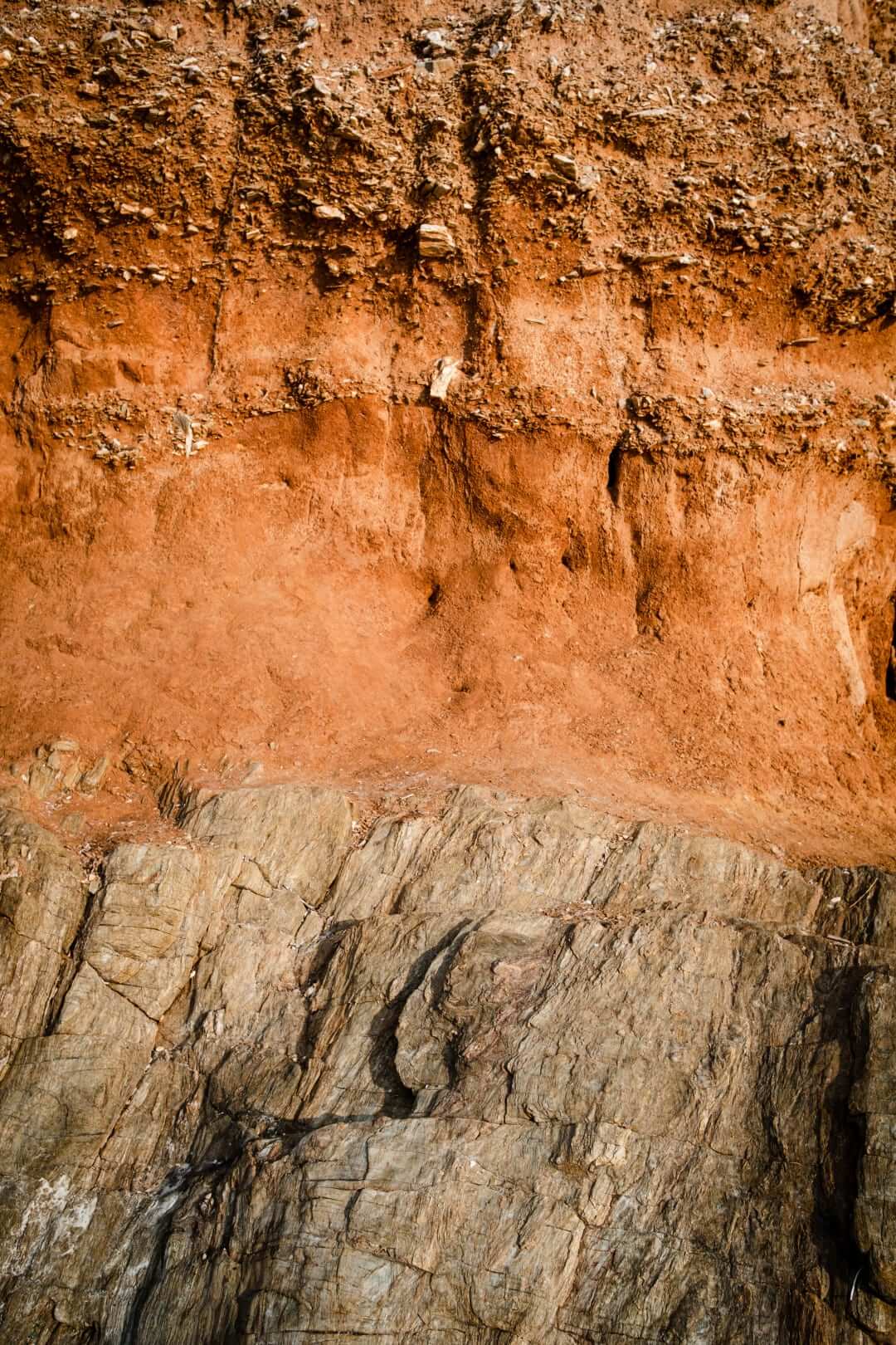 Domaine de l'Ile - Porquerolles - Côtes de Provence