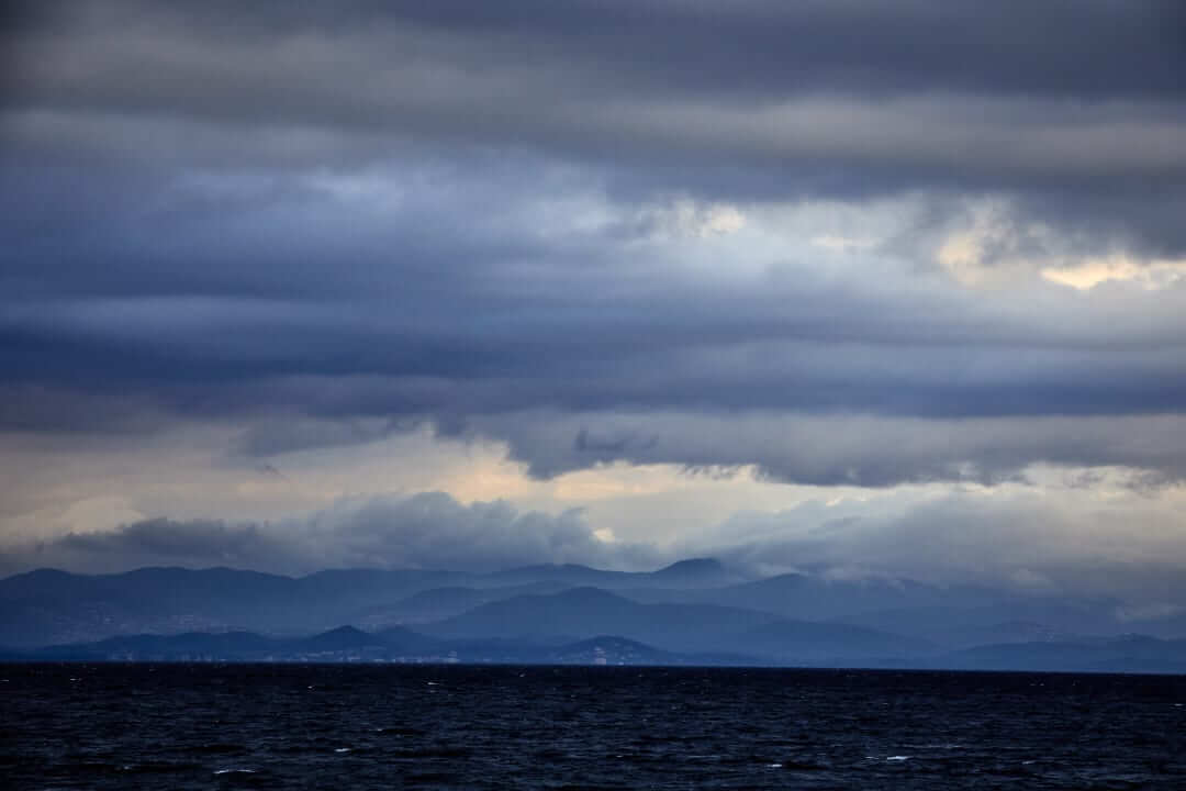 Domaine de l'Ile - Porquerolles - Côtes de Provence