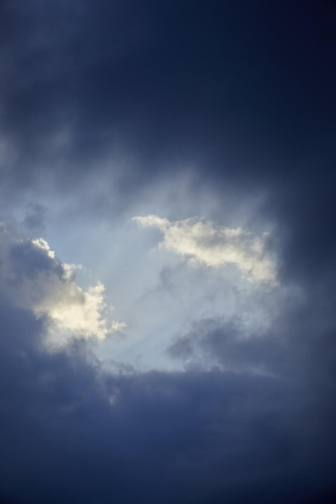 Domaine de l'Ile - Porquerolles - Côtes de Provence
