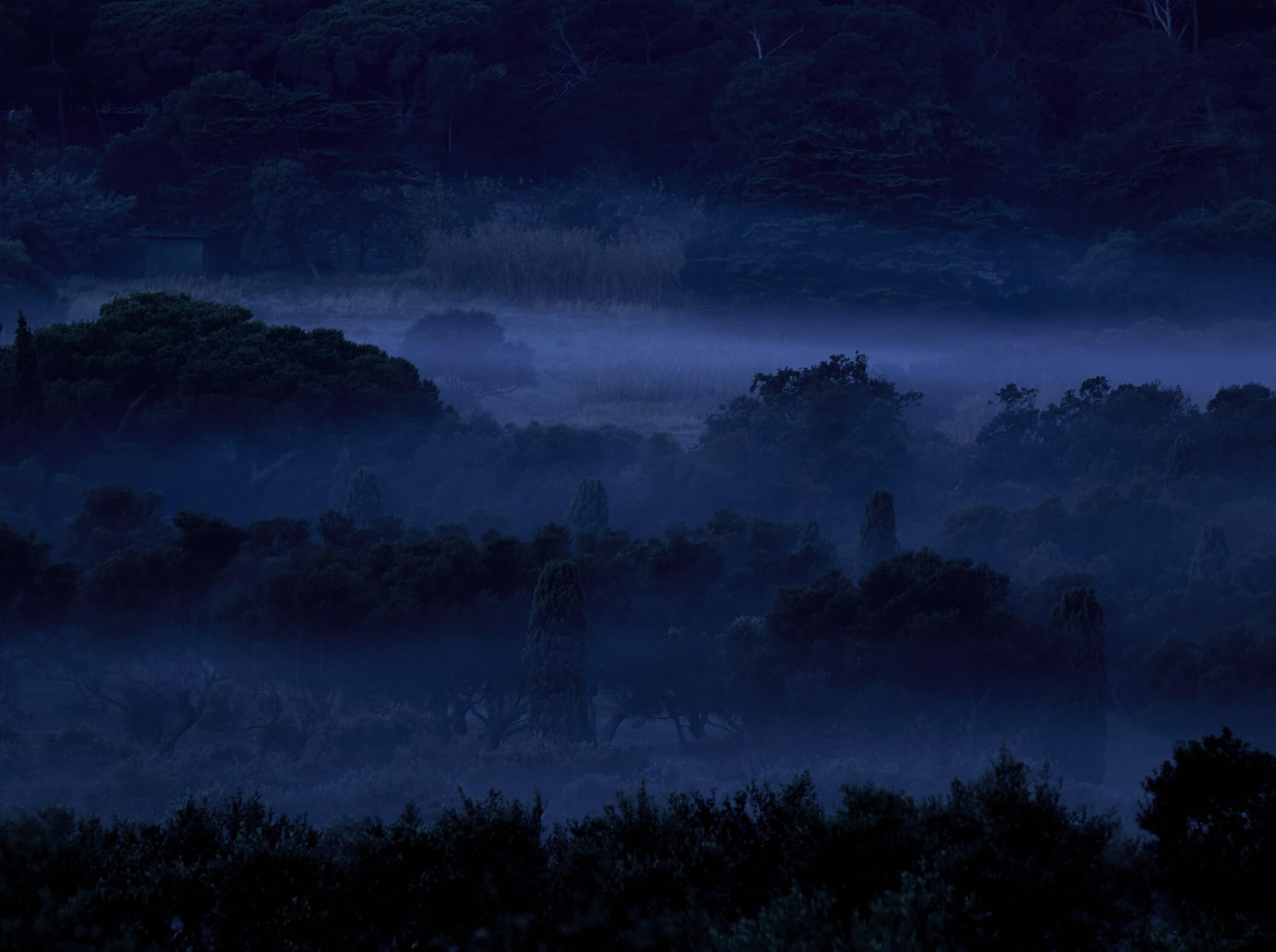 Domaine de l'Ile - Porquerolles - Côtes de Provence